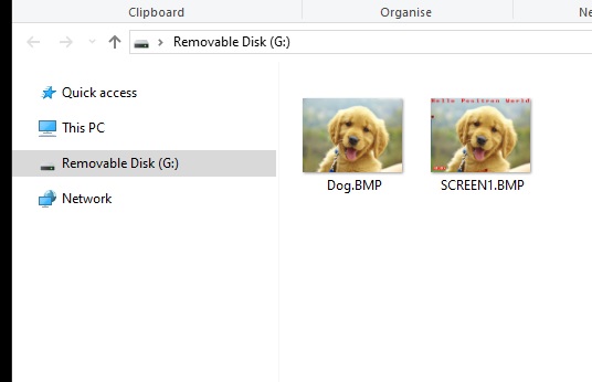TftBmpScreenshotSd()